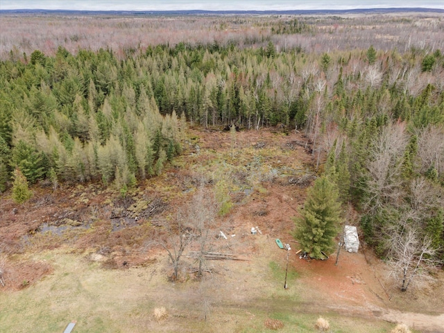 V/L N Townline Rd, Houghton Lake, MI 48629
