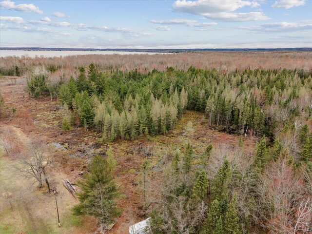 V/L N Townline Rd, Houghton Lake, MI 48629