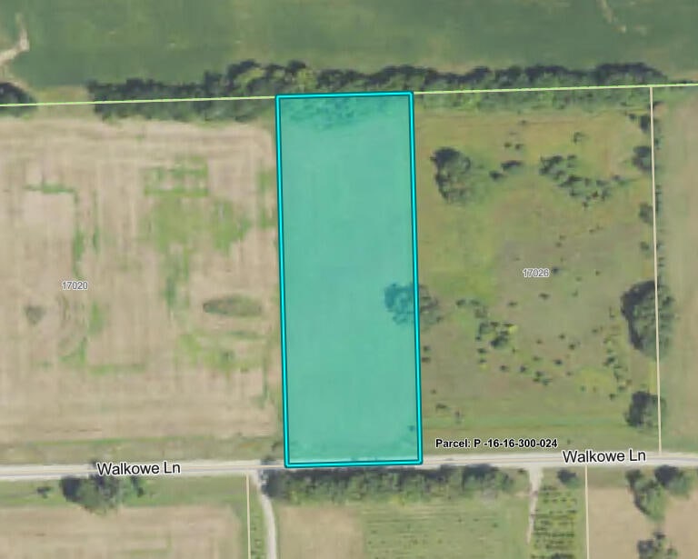 0 Walkowe Ln, Manchester, MI 48158