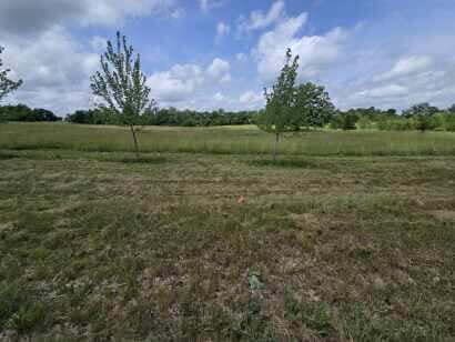 0 Walkowe Ln, Manchester, MI 48158