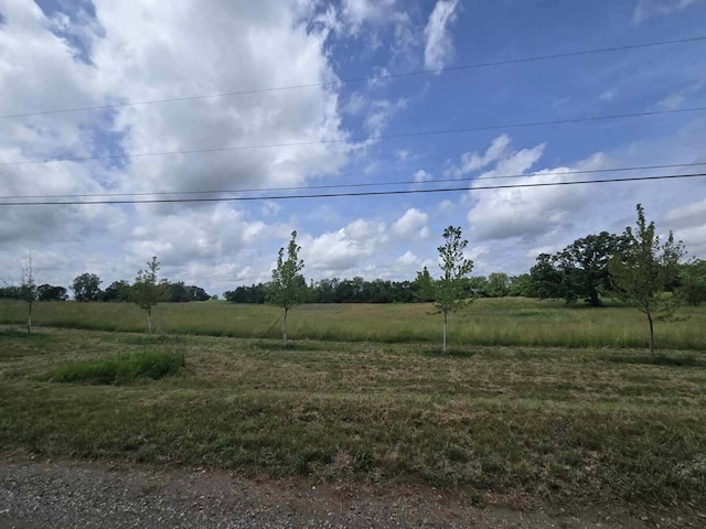 0 Walkowe Ln, Manchester, MI 48158