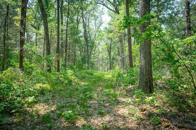 V/L Round Lake Dr, Holton, MI 49425 - photo 10