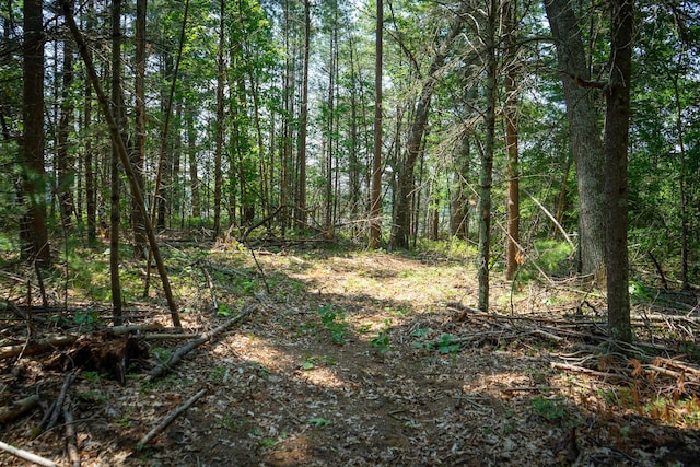 V/L Round Lake Dr, Holton, MI 49425 - photo 4