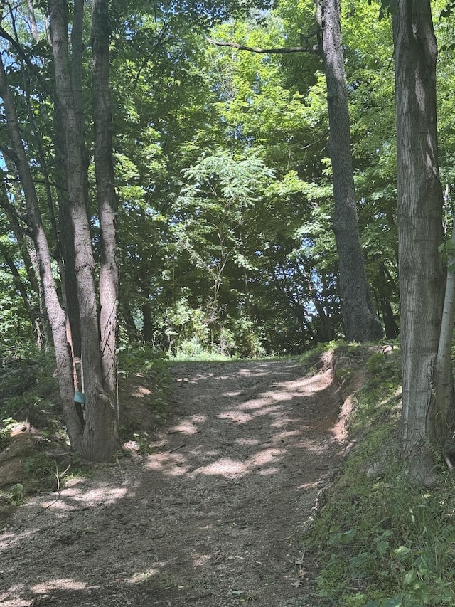 V/L E S St, Marcellus, MI 49067 - photo 2