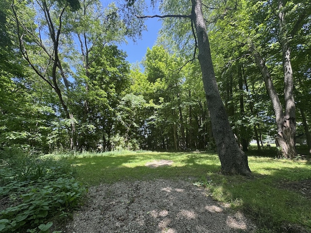 V/L E S St, Marcellus, MI 49067 - photo 3