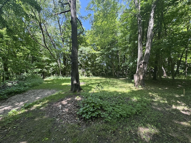 V/L E S St, Marcellus, MI 49067 - photo 4