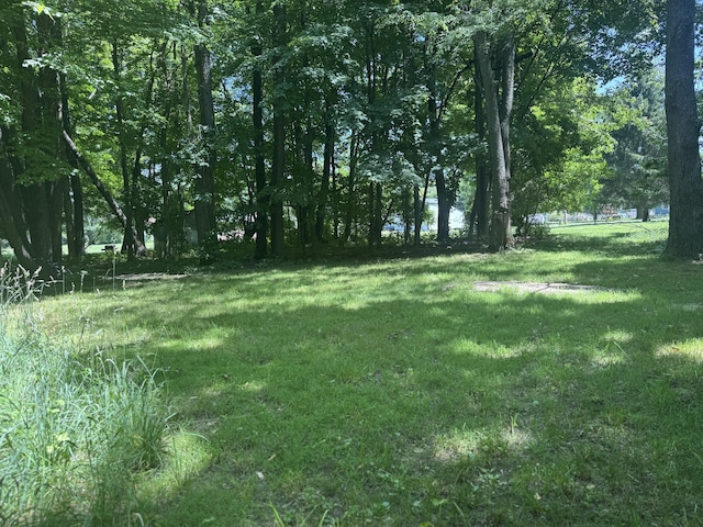 V/L E S St, Marcellus, MI 49067 - photo 1