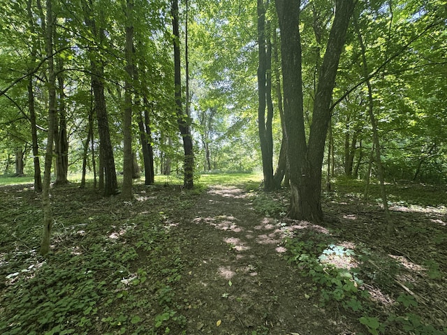 V/L E S St, Marcellus, MI 49067 - photo 5