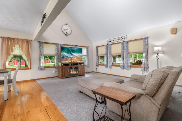 31688 Colon Rd, Colon, MI 49040 - living area featuring hardwood / wood-style flooring, a glass covered fireplace, and high vaulted ceiling