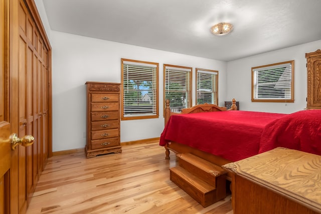 31688 Colon Rd, Colon, MI 49040 - bedroom with light wood-style floors and baseboards