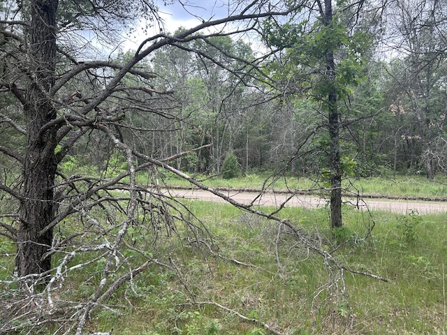 V/L S Dillard St, Baldwin, MI 49304 - photo 2