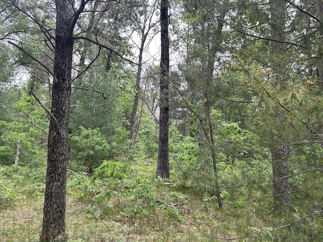 V/L S Dillard St, Baldwin, MI 49304 - photo 8