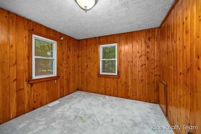 757 E Sidney Rd, Stanton, MI 48888 - carpeted spare room with a textured ceiling and wooden walls