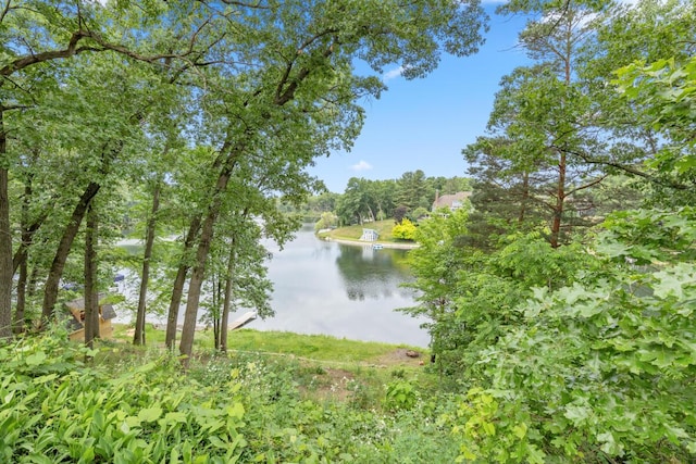 2647 Manitoba Ct NE, Grand Rapids, MI 49525 - water view