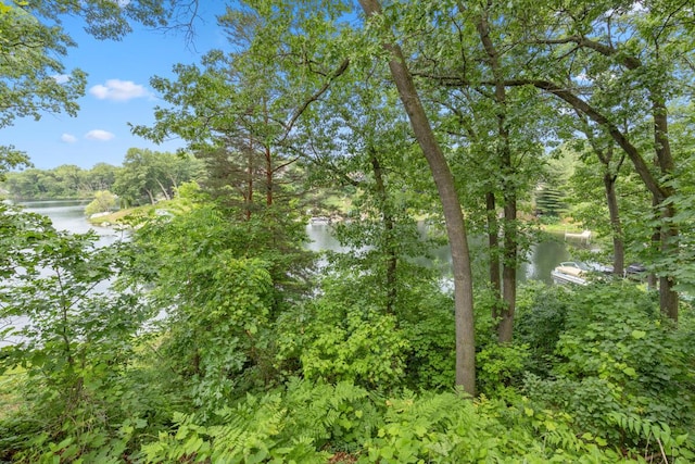 2647 Manitoba Ct NE, Grand Rapids, MI 49525 - view of woods featuring a water view