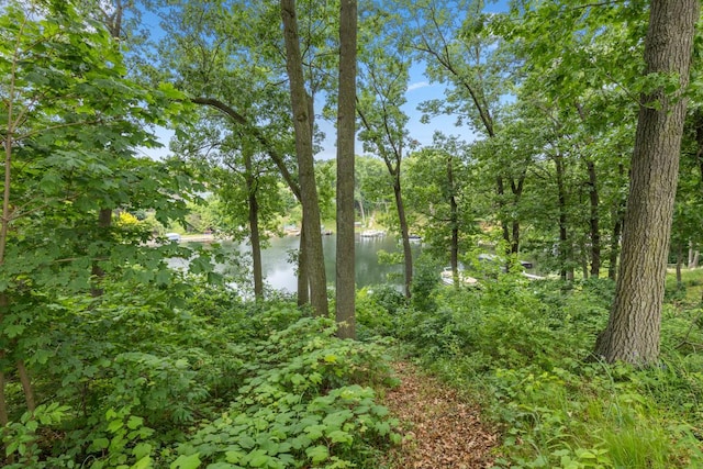2647 Manitoba Ct NE, Grand Rapids, MI 49525 - water view