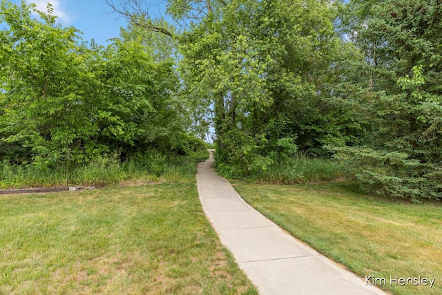 4284 Ives Farm Ln NE, Cedar Springs, MI 49319 - view of community featuring a lawn