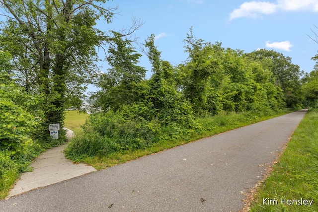 4284 Ives Farm Ln NE, Cedar Springs, MI 49319 - view of asphalt street