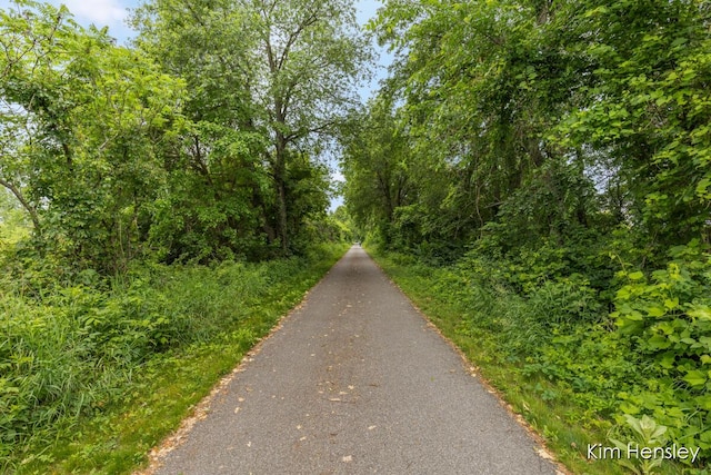 4284 Ives Farm Ln NE, Cedar Springs, MI 49319 - view of road