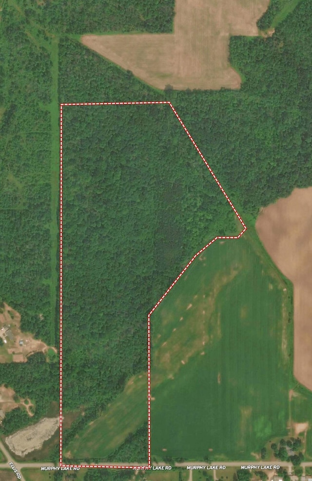 V/L Murphy Lake Rd, Millington, MI 48746