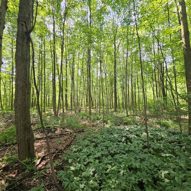 V/L Murphy Lake Rd, Millington, MI 48746