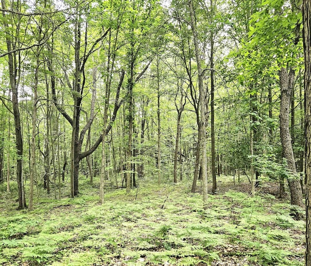 V/L Murphy Lake Rd, Millington, MI 48746