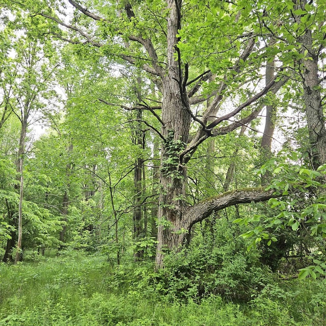 V/L Murphy Lake Rd, Millington, MI 48746