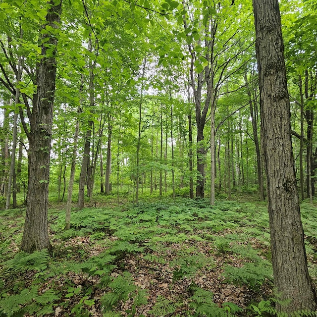 V/L Murphy Lake Rd, Millington, MI 48746