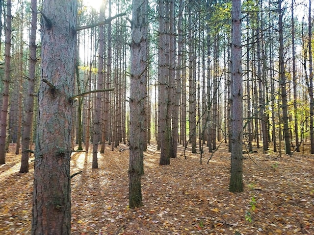 V/L Murphy Lake Rd, Millington, MI 48746