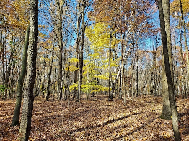 V/L Murphy Lake Rd, Millington, MI 48746