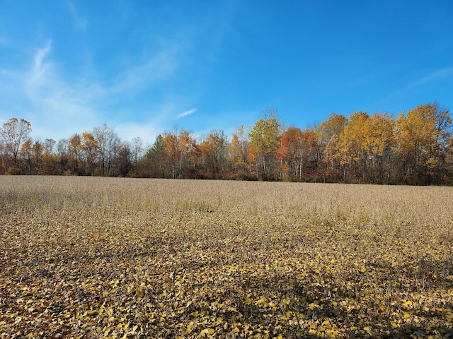 V/L Murphy Lake Rd, Millington, MI 48746