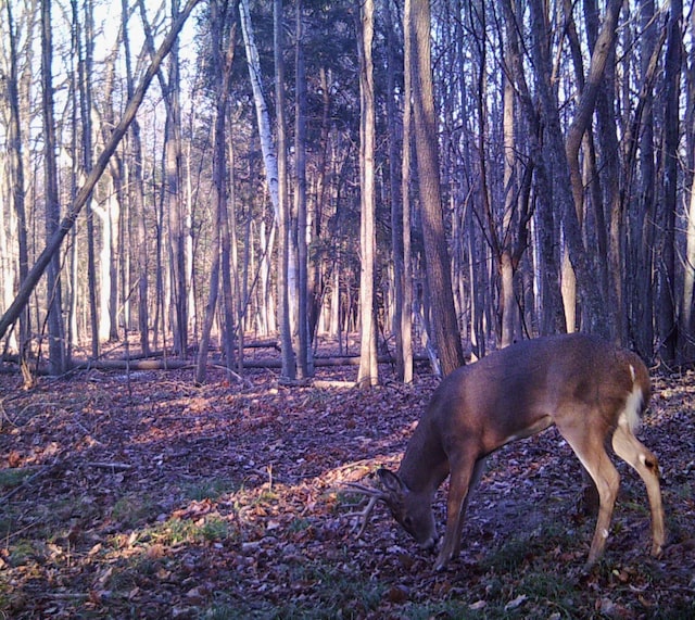 V/L Murphy Lake Rd, Millington, MI 48746
