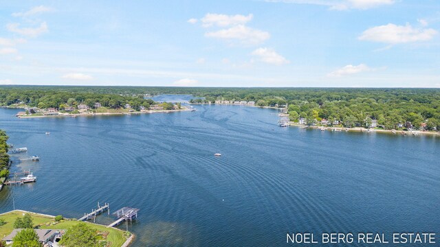 16093 Harbor Point Dr, Spring Lake, MI 49456 - drone / aerial view of a large body of water and a heavily wooded area