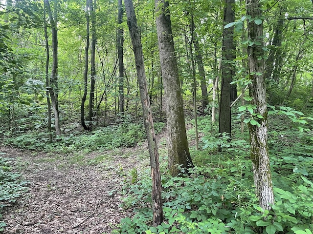 3996 Head Lake Rd, Hastings, MI 49058 - view of wooded area