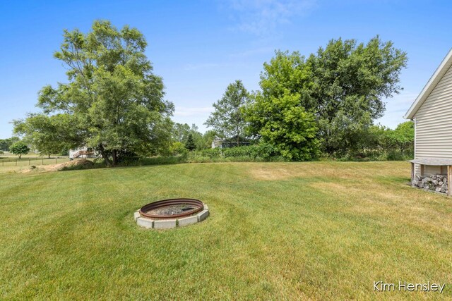 4233 Ives Farm Ln NE, Cedar Springs, MI 49319 - photo 26