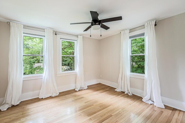 324 Highlake Ave, Ann Arbor, MI 48103 - photo 26