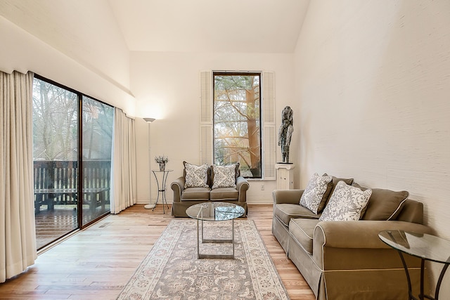 22 Haverhill Ct, Ann Arbor, MI 48105 - living room featuring light wood finished floors and high vaulted ceiling