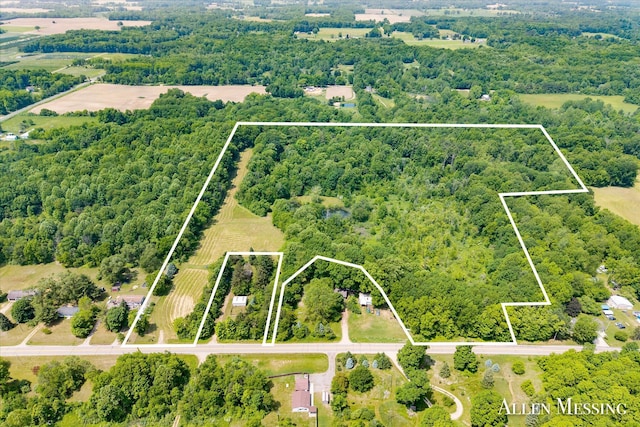 262 40th St, Allegan, MI 49010 - photo 1