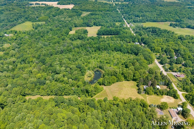 262 40th St, Allegan, MI 49010 - photo 3