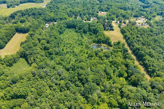 262 40th St, Allegan, MI 49010 - photo 4