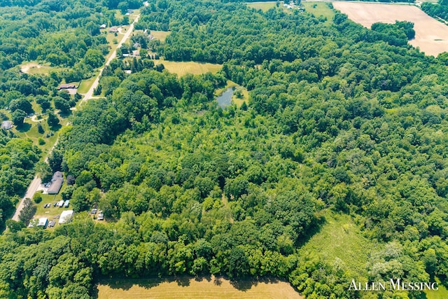 262 40th St, Allegan, MI 49010 - photo 5