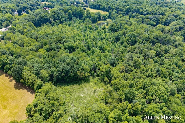 262 40th St, Allegan, MI 49010 - photo 6