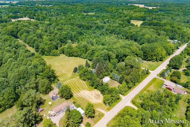 262 40th St, Allegan, MI 49010 - photo 9