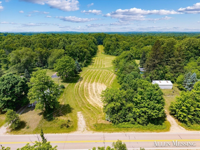 262 40th St, Allegan, MI 49010 - photo 11