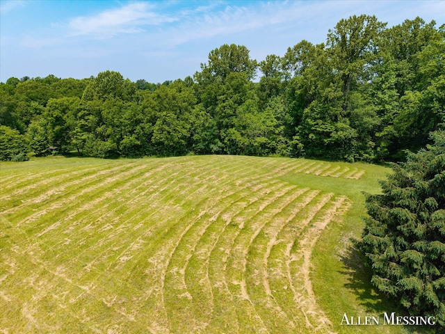 262 40th St, Allegan, MI 49010 - photo 13
