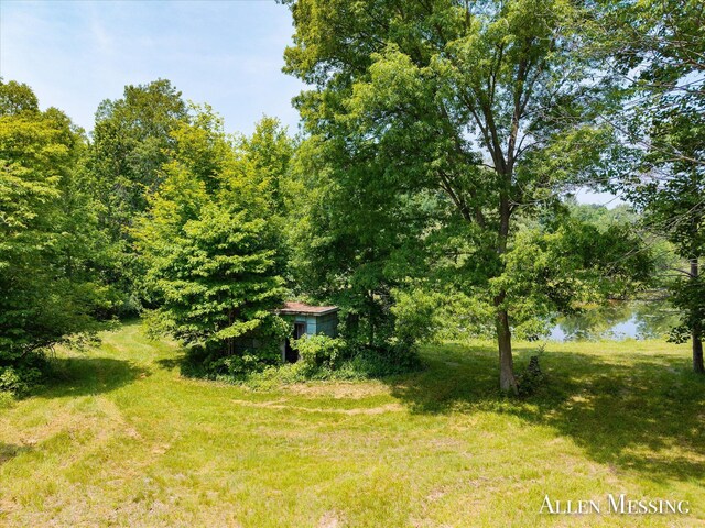 262 40th St, Allegan, MI 49010 - photo 17