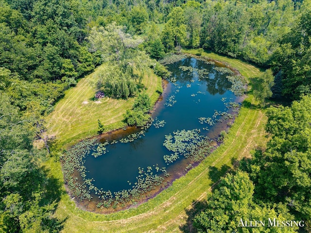 262 40th St, Allegan, MI 49010 - photo 18