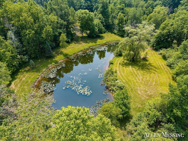 262 40th St, Allegan, MI 49010 - photo 19