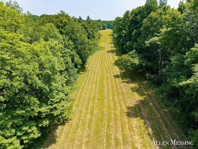 262 40th St, Allegan, MI 49010 - photo 23
