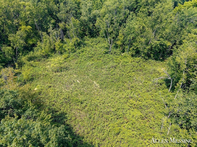 262 40th St, Allegan, MI 49010 - photo 24